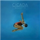 Cicada - Roulette