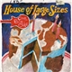 House Of Large Sizes - One Big Cake