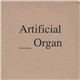 Kevin Drumm - Artificial Organ